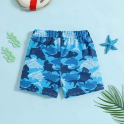 Size is 6M-12M Dolphin Print Swimsuits Short blueTrunks For boys 3 years old