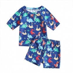 Size is 6M-12M Dinosaur Rash Guard Set 2 Piece Swim Shirt and shorts for Toddler Boys