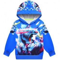 Size is 4T-5T(110cm) Boys' MR BEAST Long Sleeve hoodie 7 years old