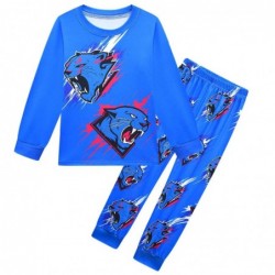 Size is 4T-5T(110cm) boys' Mr Beast Lightning Cat Long Sleeve Pajamas 2 Pieces Costumes